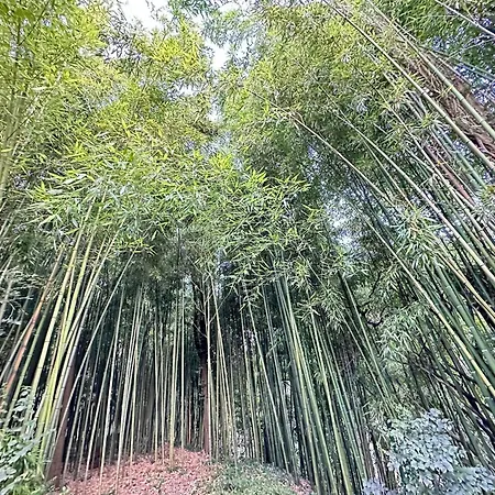 Les Terrasses Tatil Evi *