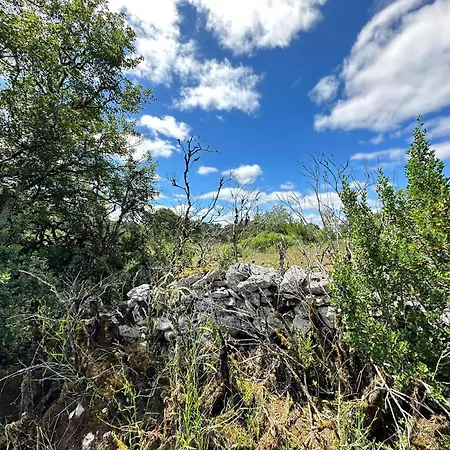 Les Terrasses Tatil Evi Saint-Antonin